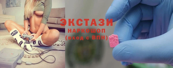 индика Армянск