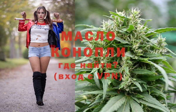 индика Армянск
