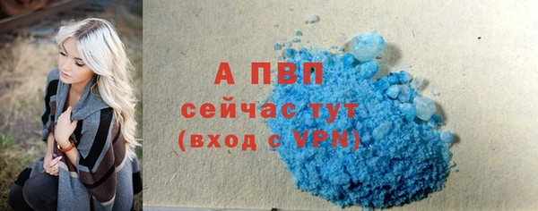 стаф Арсеньев