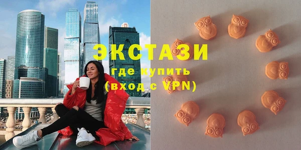 стаф Арсеньев