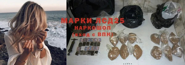 индика Армянск